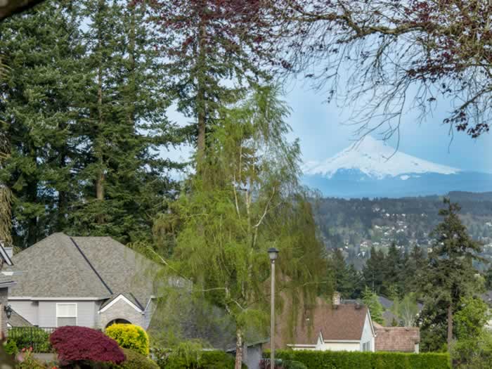 View of Mt Hood from Rosemont Summit